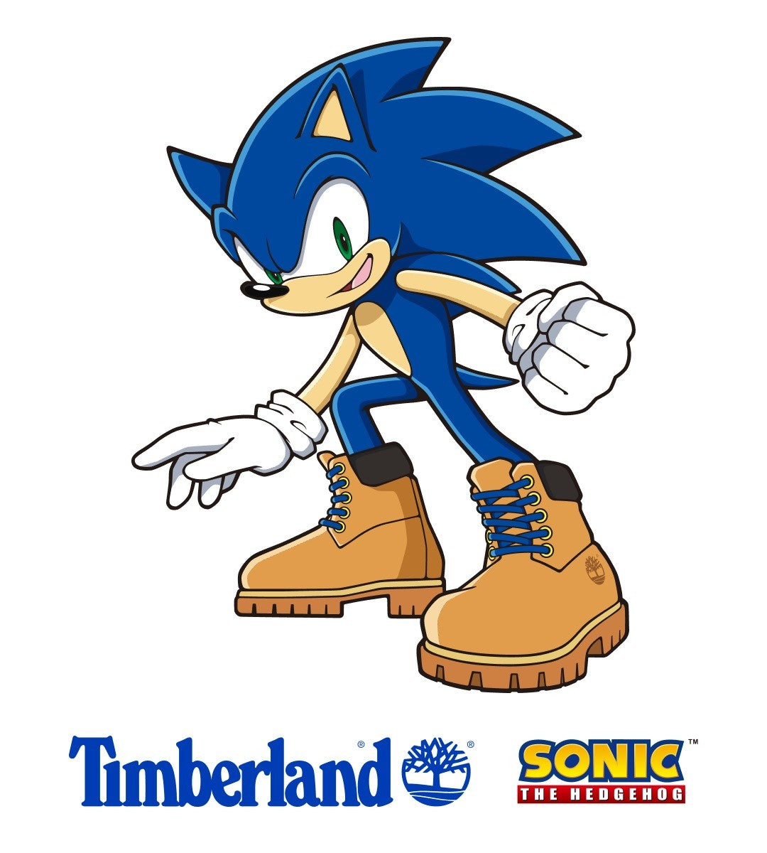 Sega And Timberland's Sonic Boots