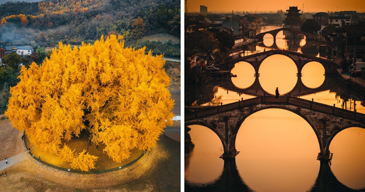 RK's Asia: A Japanese Lens on a Vibrant Continent