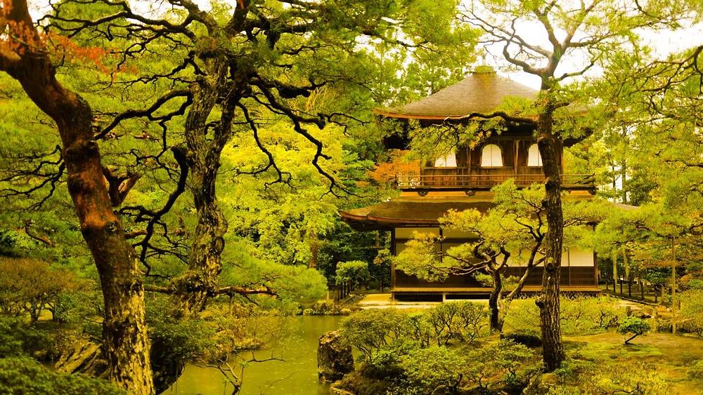 Shinrin-Yoku: Ancient Japanese Ritual Meets Modern Luxury Travel