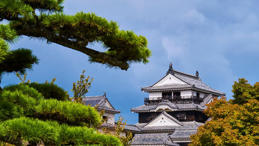Beyond Temples & Towers: Decoding Japanese Architecture