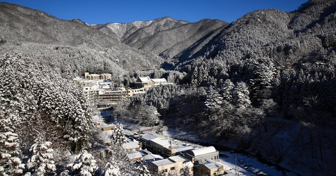 Japan's Hidden Nature Retreats