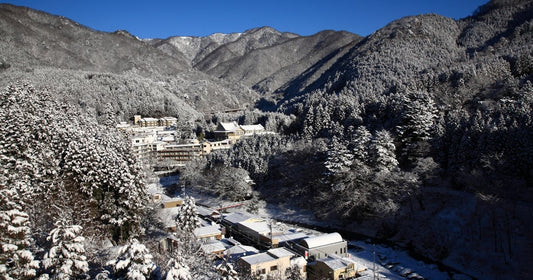 Japan's Hidden Nature Retreats