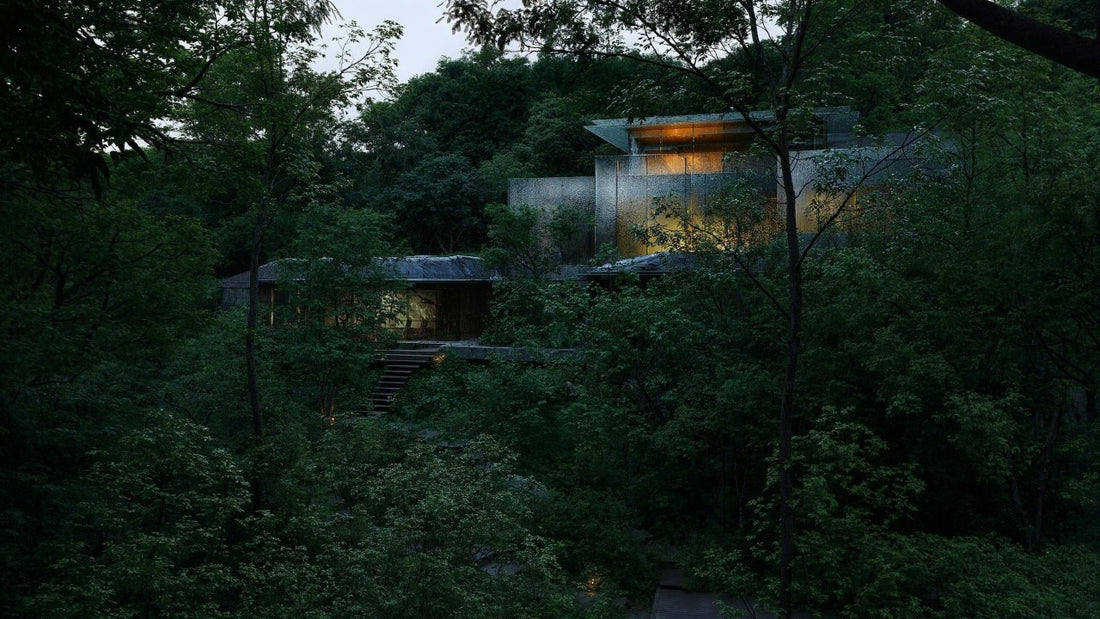 Glass Experiment in Japan's Forests? Yes, Please!