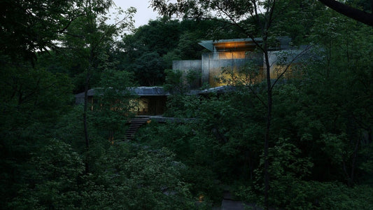 Glass Experiment in Japan's Forests? Yes, Please!