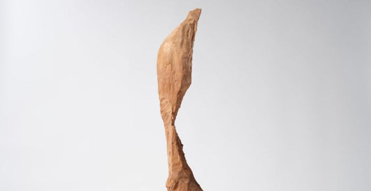 Aki Inomata Joins Rivoli Collection