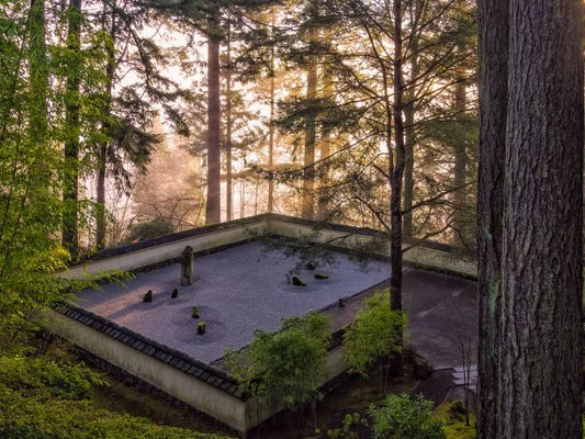 Zen Gardens: Your Backyard Escape Awaits