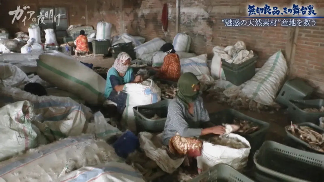 Behind MUJI's Global Impact