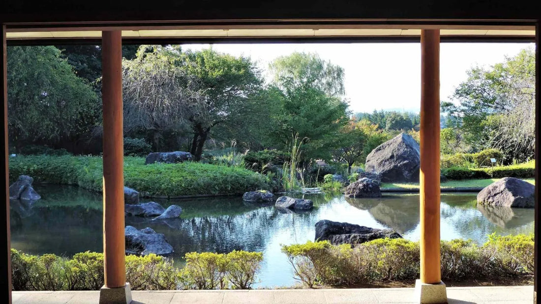 Ramen Paradise Found: Japan's Secret Noodle Town