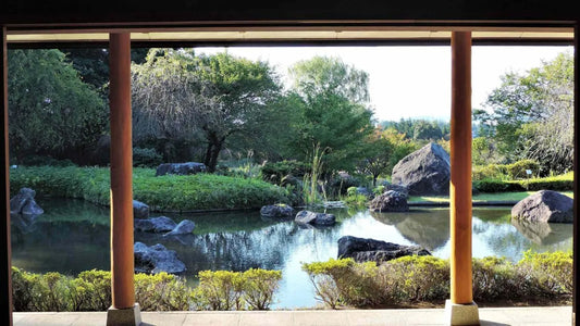 Ramen Paradise Found: Japan's Secret Noodle Town