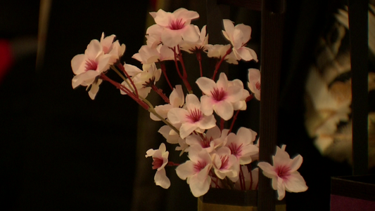 Japan in the Desert: A New Mexico Festival